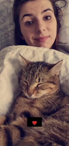 Service : garde animaux Service : garde animaux