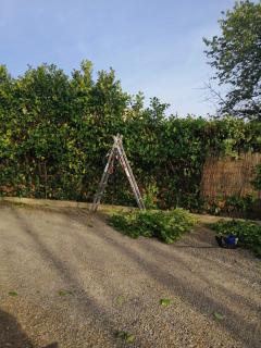 Demander ce jardinier
