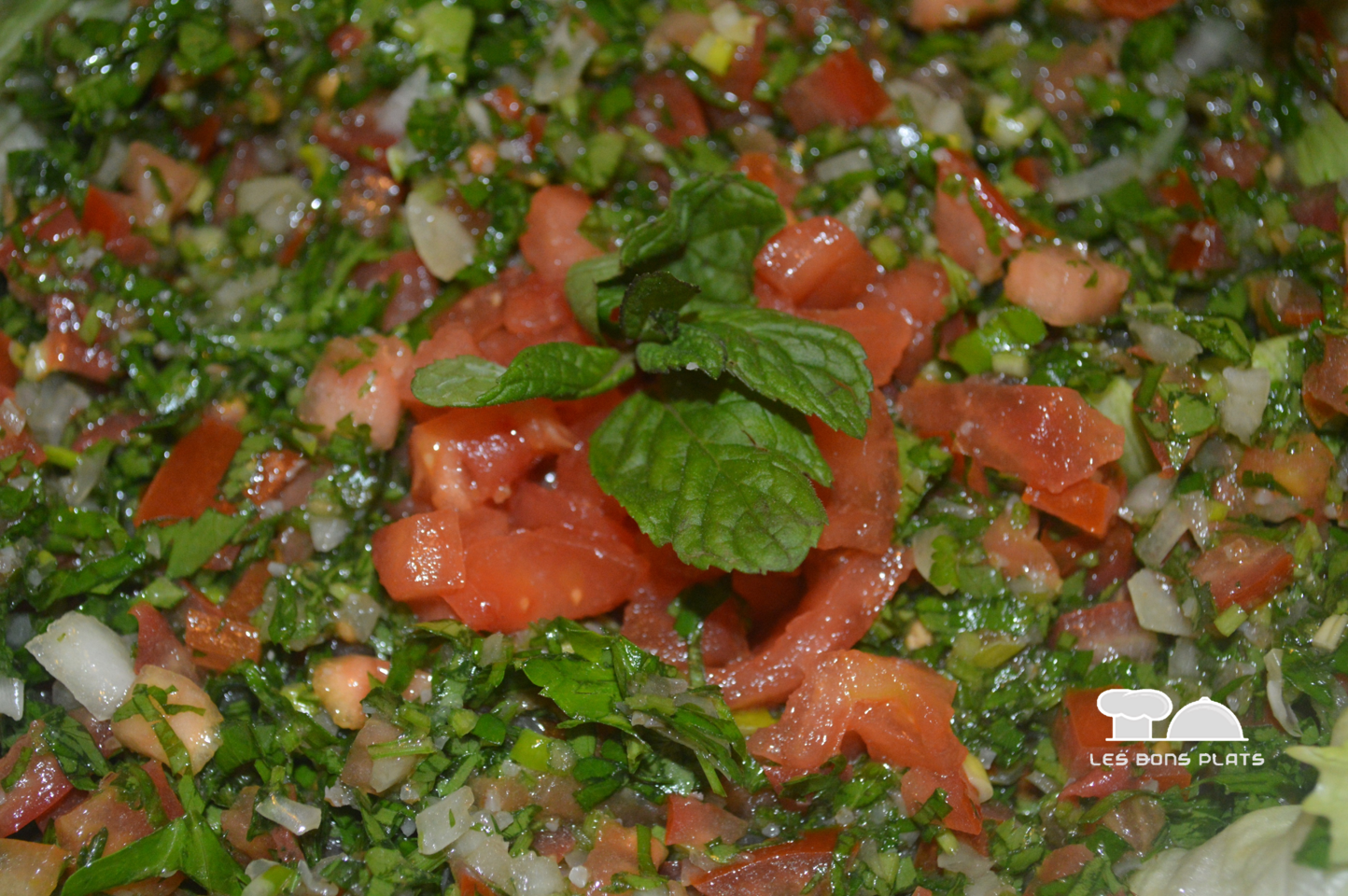 Service cuisine libanaise 92 entre particuliers