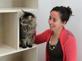 Demander ce catsitter