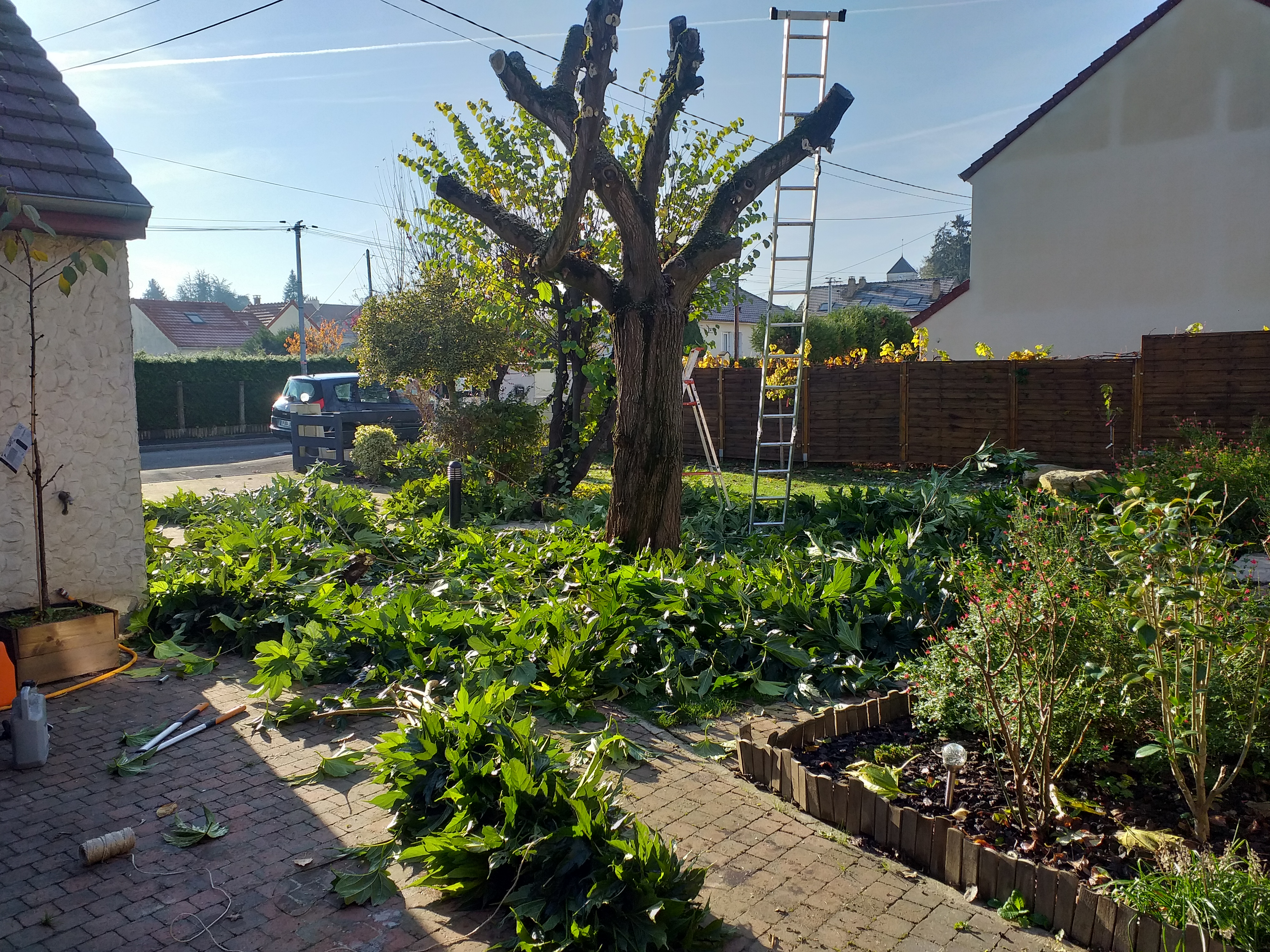 Service entretien jardin 77 entre particuliers