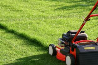 Service entretien jardin entre particuliers