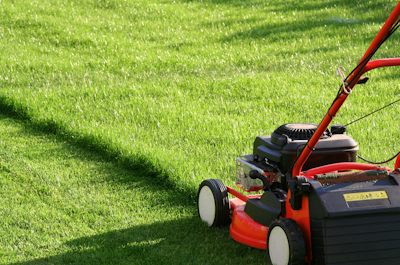 Service entretien jardin 45 entre particuliers