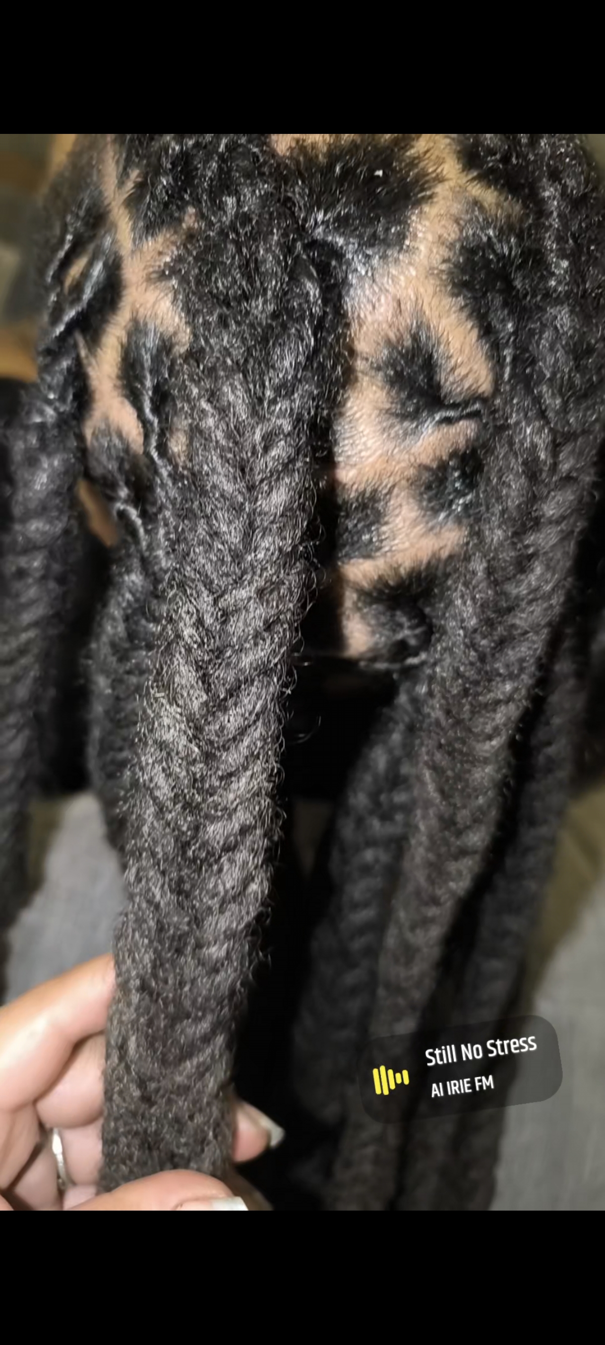 Service Coiffure between individuals (91)