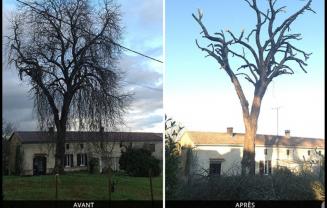 Demander ce jardinier