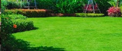 Demander ce jardinier