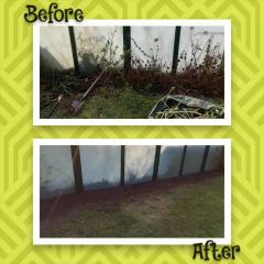 Service : tonte de pelouse Service : tonte de pelouse