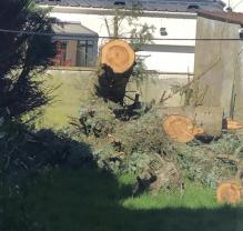 Location : tronconneuse Location : tronconneuse