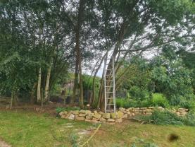 Service : elagage Service : elagage