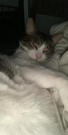 Service : babysitter Service : babysitter