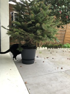 Service : garde animaux Service : garde animaux