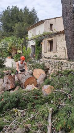 Service : debroussaillage Service : debroussaillage