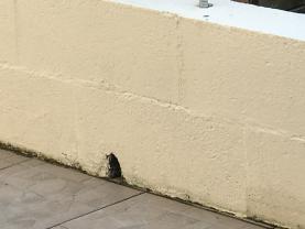 Service : maconnerie Service : maconnerie