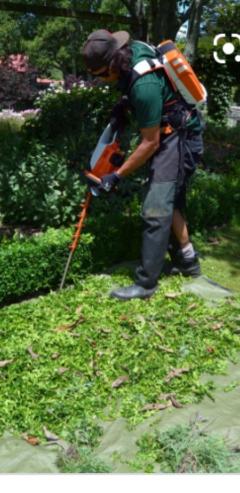 Demander ce jardinier