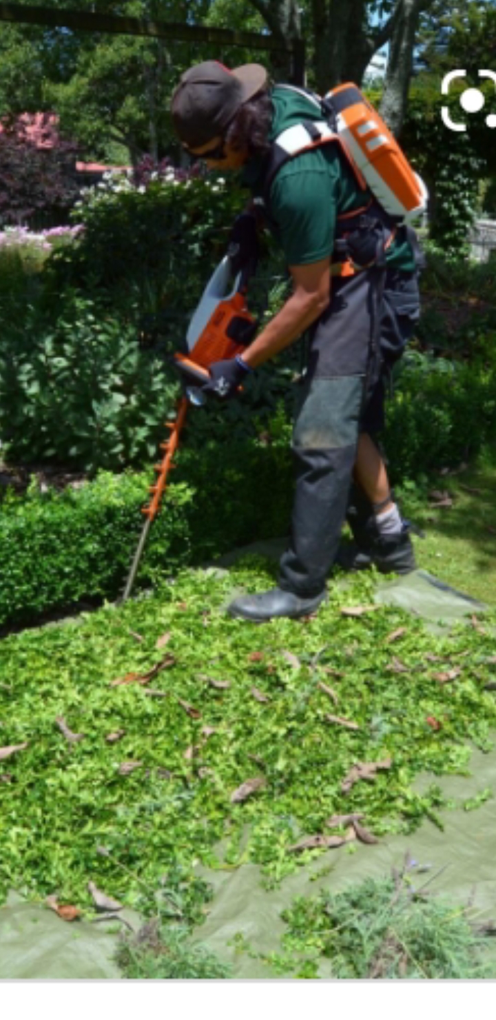 Service jardinage 94 entre particuliers