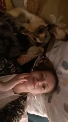 Service : garde animaux Service : garde animaux