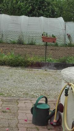 Louer le jardin