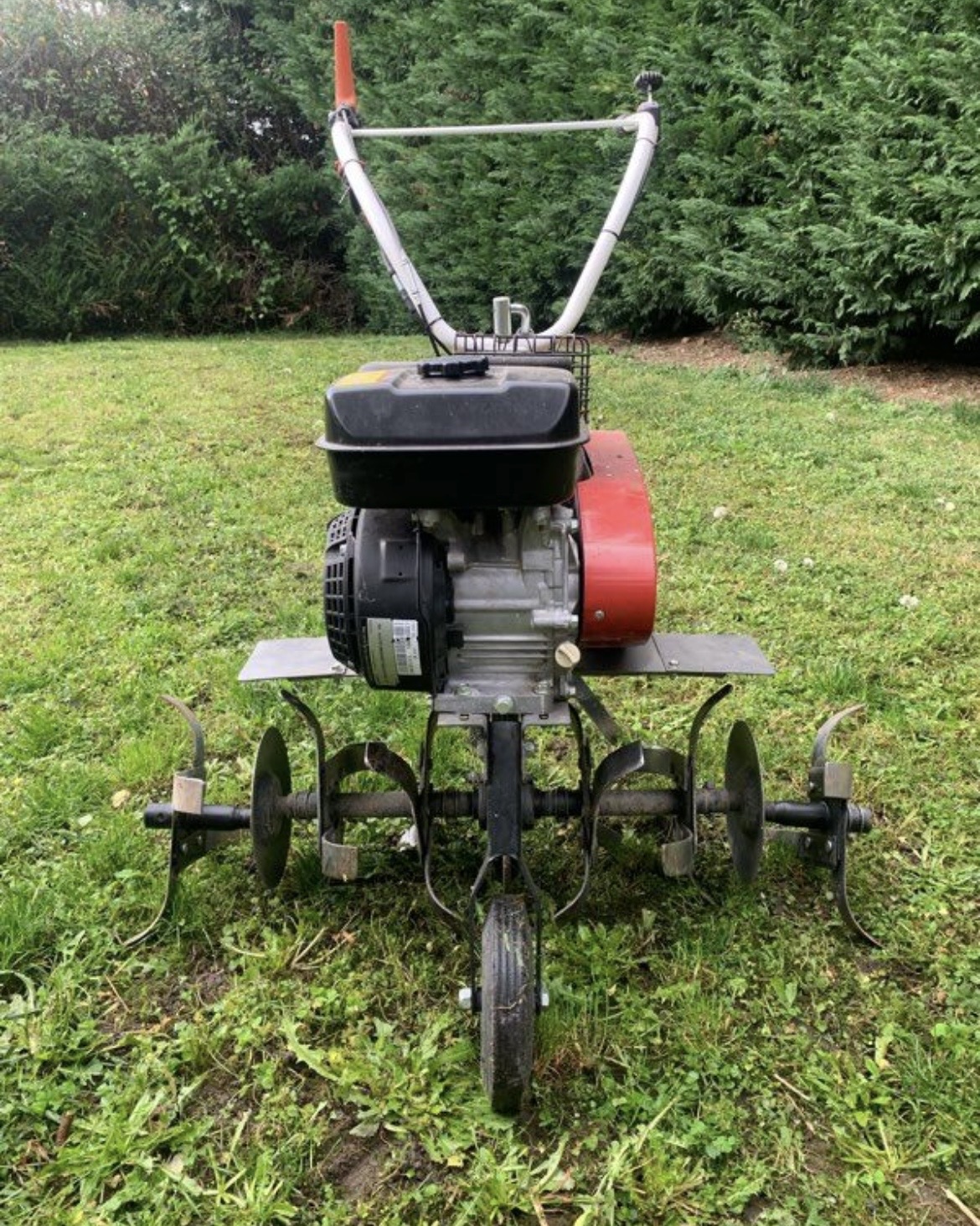 Rental Motoculteur between individuals (34)
