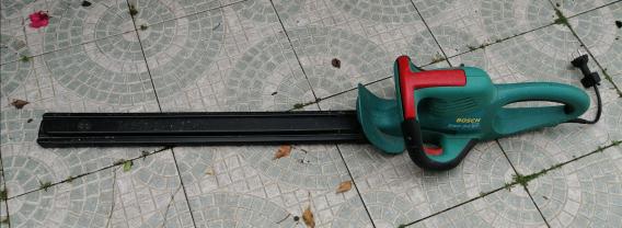 Location : taille haie Location : taille haie