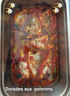 Service : plat seul Service : plat seul