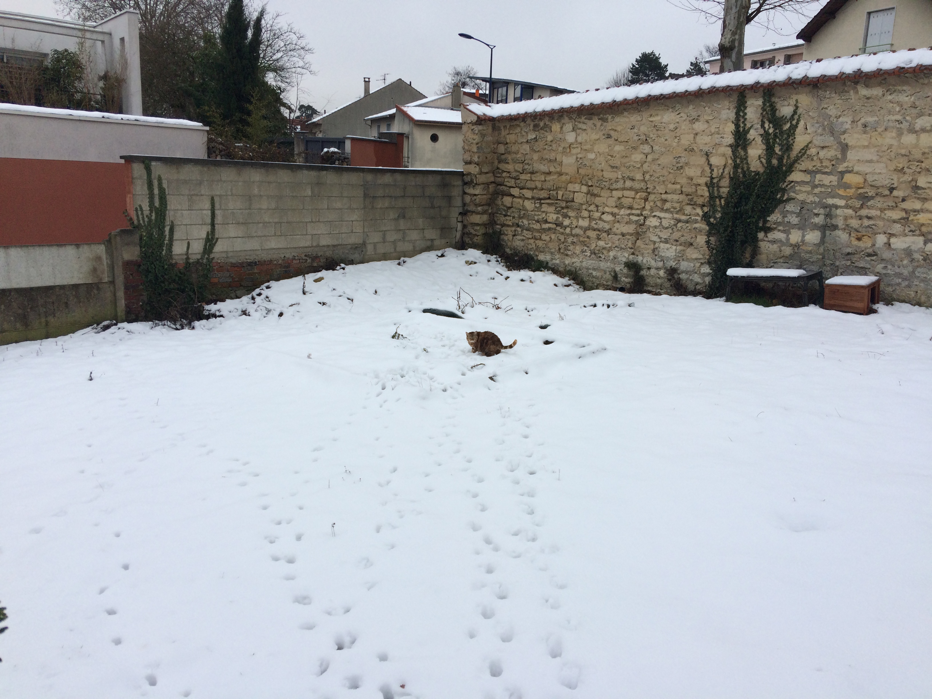Service debroussaillage 92 entre particuliers