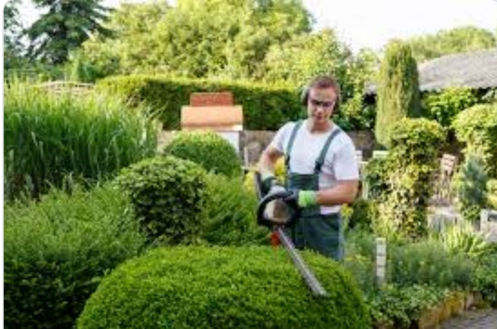 Service paysagiste 94 entre particuliers