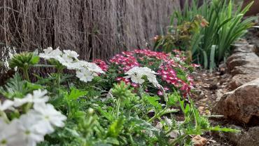 Demander ce jardinier