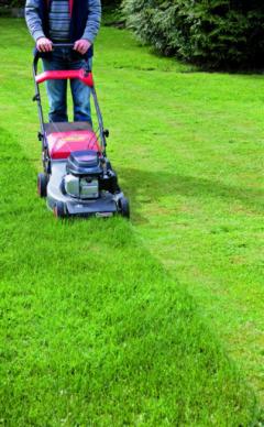 Service : tonte de pelouse Service : tonte de pelouse