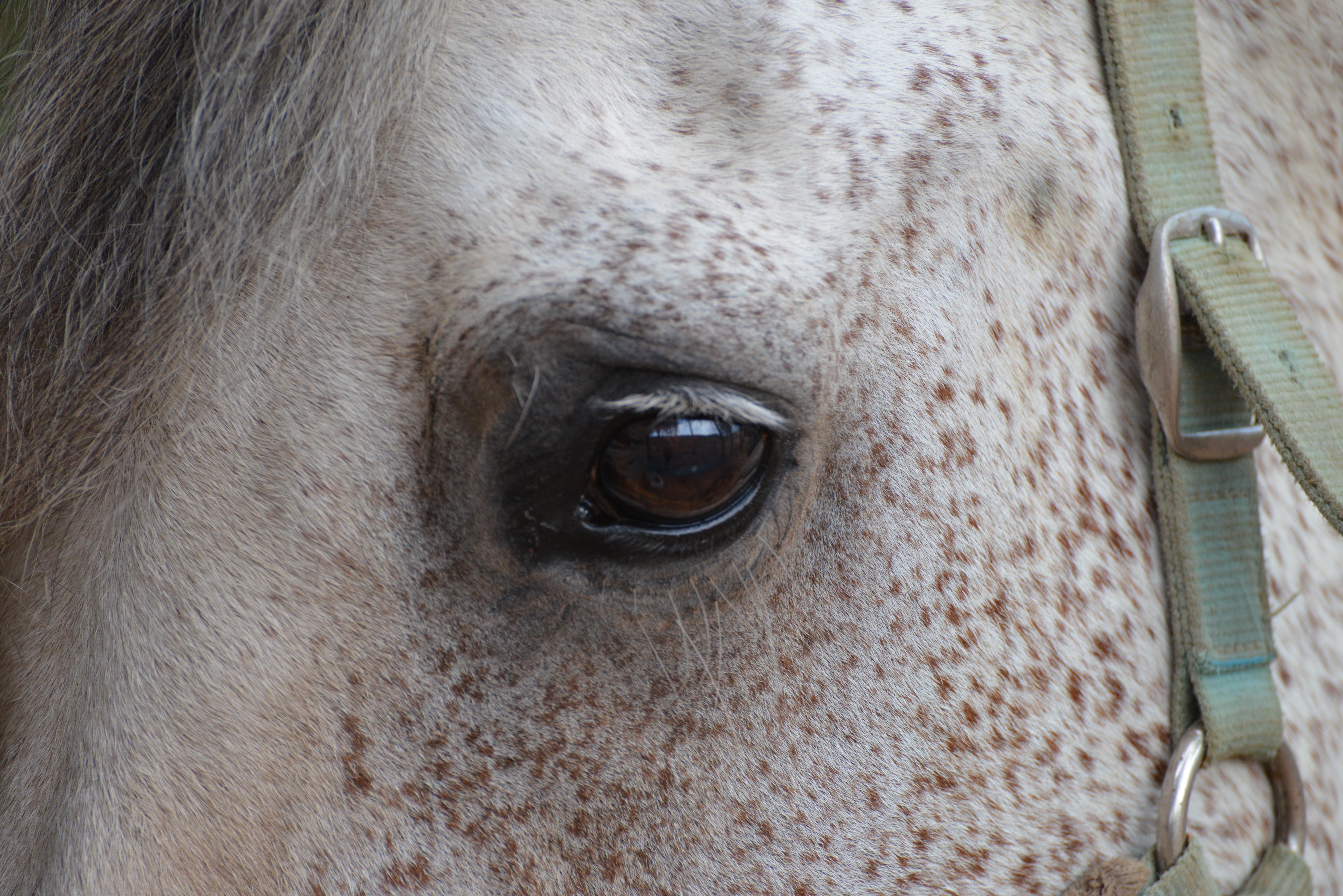 Service photographie 13 entre particuliers