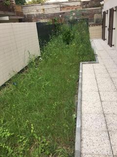 Service : debroussaillage Service : debroussaillage