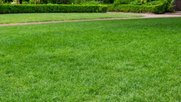Demander ce jardinier