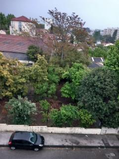 Service : elagage Service : elagage