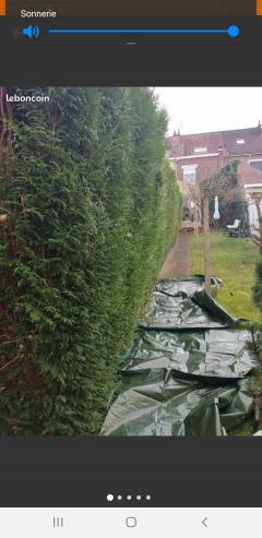 Service : entretien jardin Service : entretien jardin