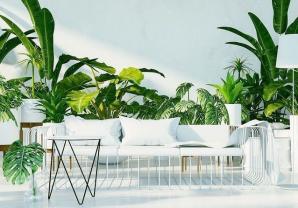 Service : paysagiste Service : paysagiste