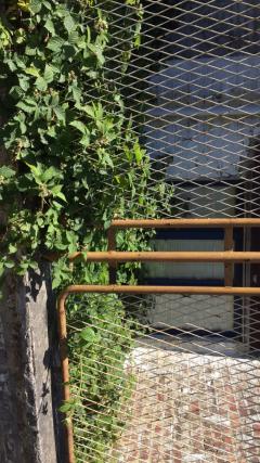 Service : debroussaillage Service : debroussaillage