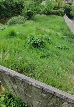 Service : debroussaillage Service : debroussaillage