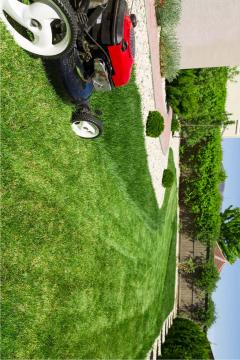 Service : entretien espace vert Service : entretien espace vert