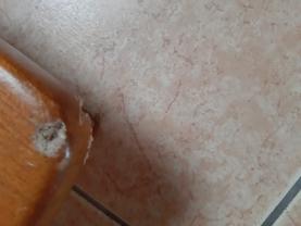 Service : menuiserie Service : menuiserie