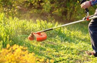 Service : debroussaillage Service : debroussaillage