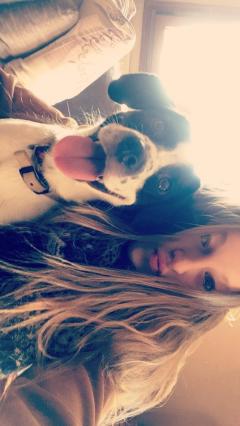 Service : garde animaux Service : garde animaux