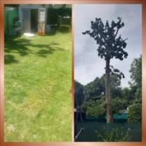 Demander ce jardinier