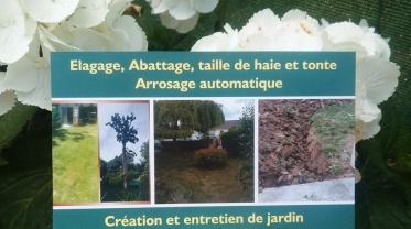Service : entretien jardin Service : entretien jardin