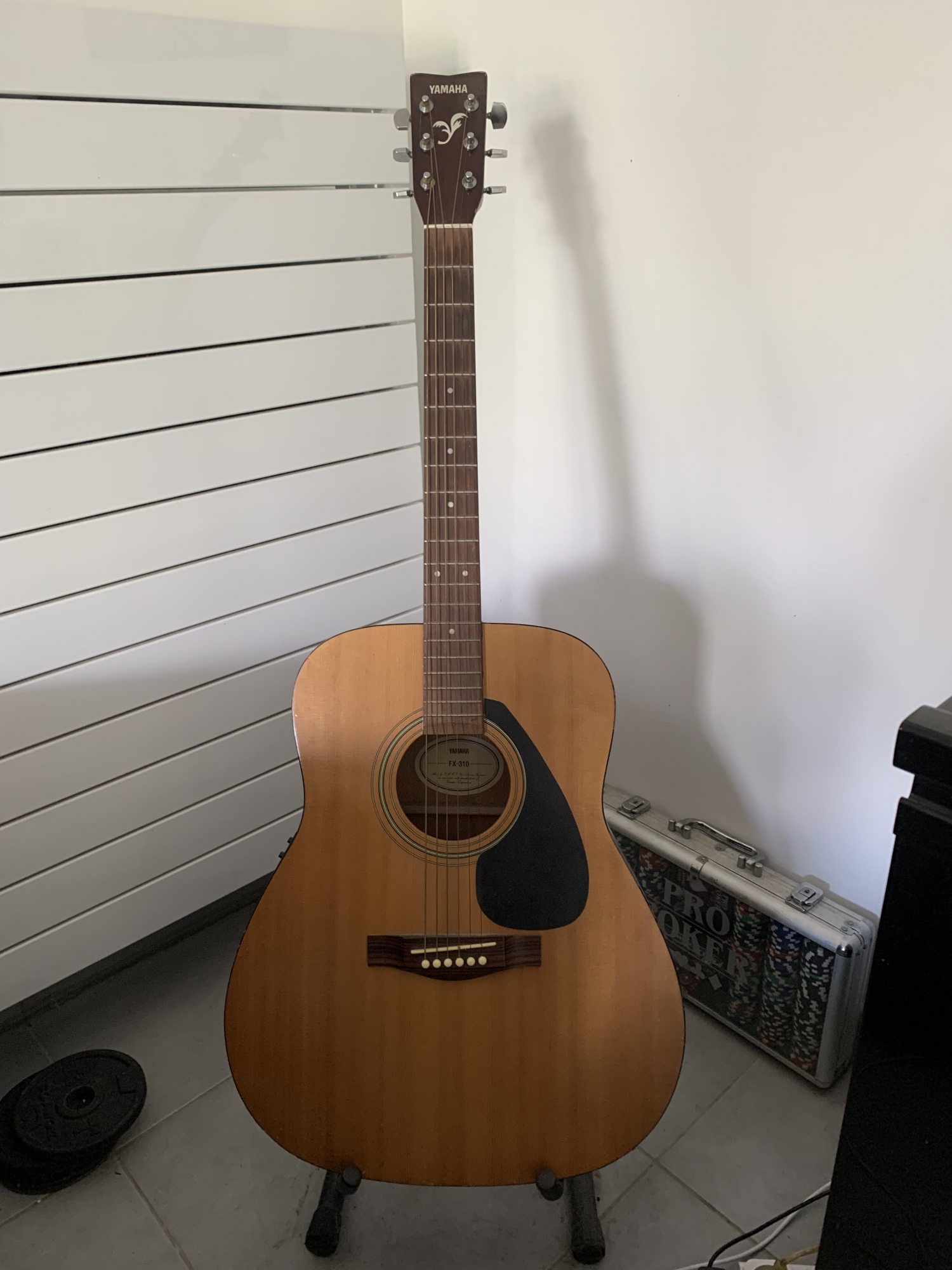 Location guitare 74 entre particuliers