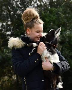 Service : garde animaux Service : garde animaux