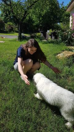 Service : garde animaux Service : garde animaux