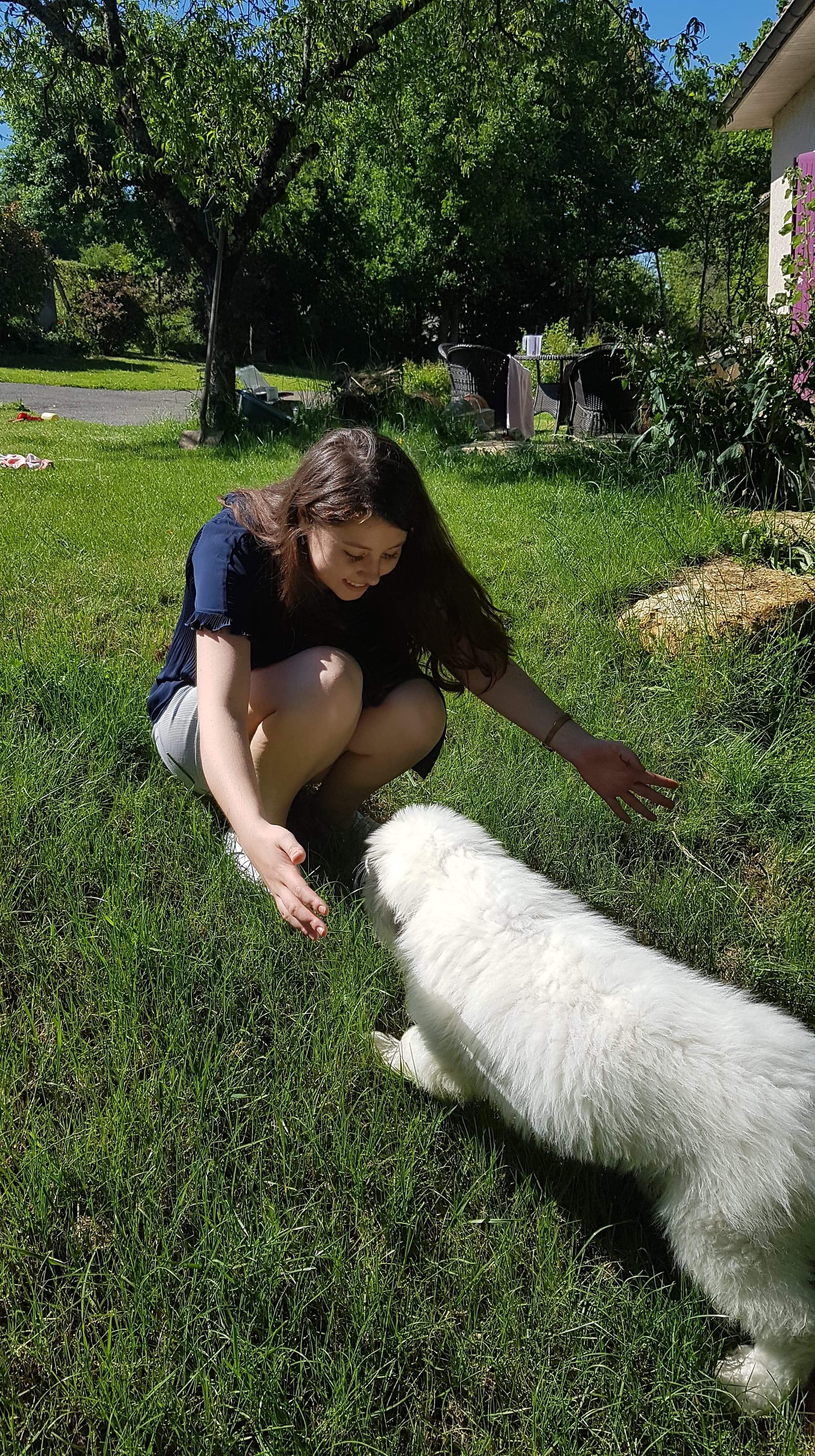 Service garde animaux 16 entre particuliers