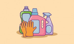 Service menage 91 entre particuliers