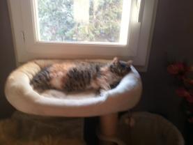 Service : chat Service : chat