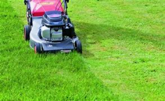 Service : tonte de pelouse Service : tonte de pelouse