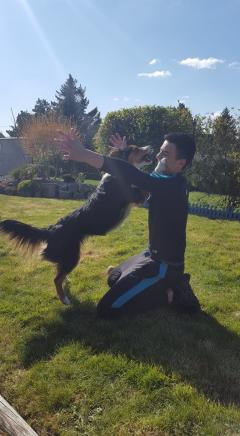 Service : chien Service : chien